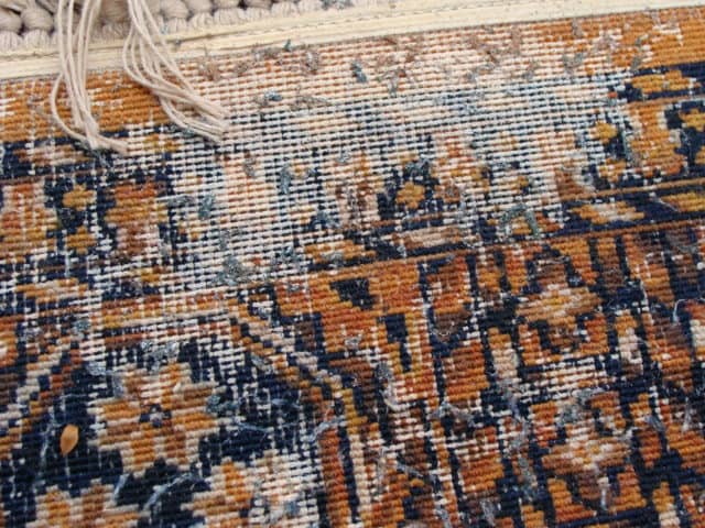 rug eaten to the skeleton by bugs