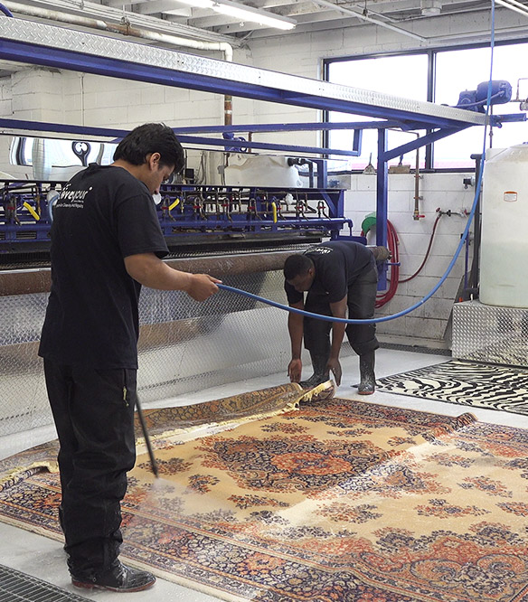 Best Rug Cleaning St. Catherines